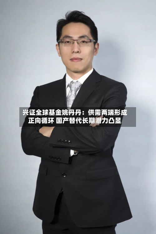 兴证全球基金姚丹丹:供需两端形成正向循环 国产替代长期潜力凸显