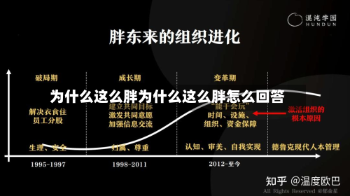 为什么这么胖为什么这么胖怎么回答