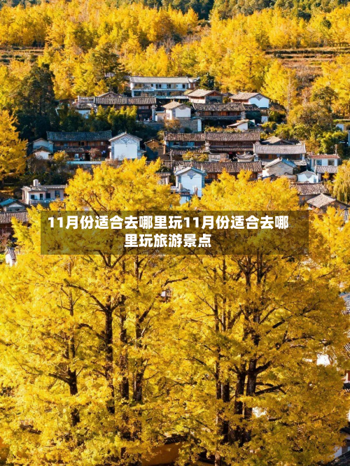 11月份适合去哪里玩11月份适合去哪里玩旅游景点